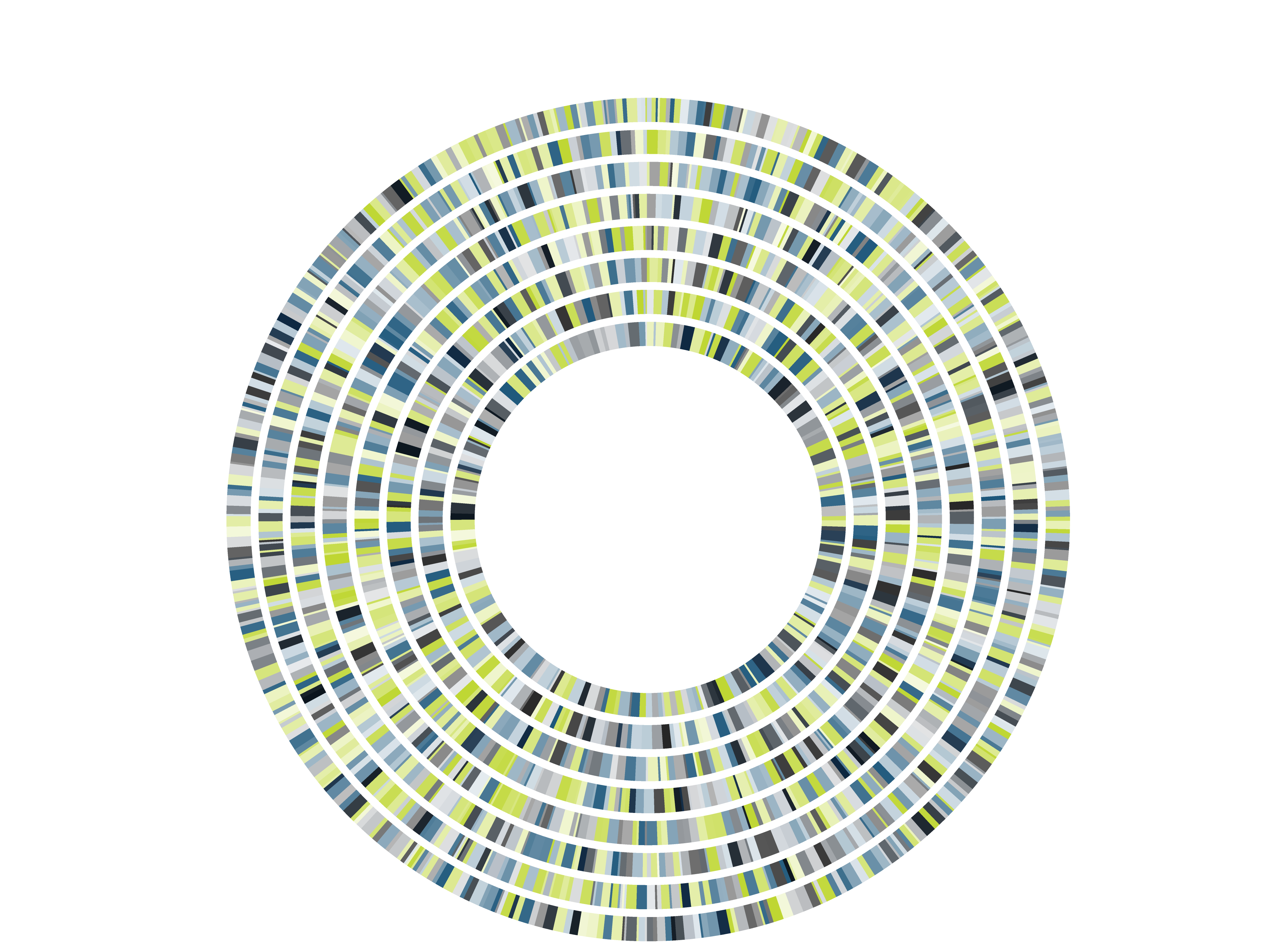 Concentric circular bands of multicolored rectangular segments forming a dense ring pattern